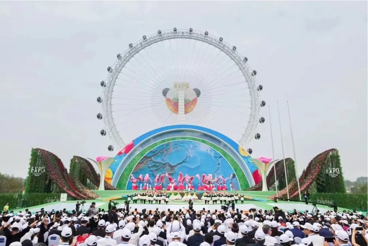麻将胡了2