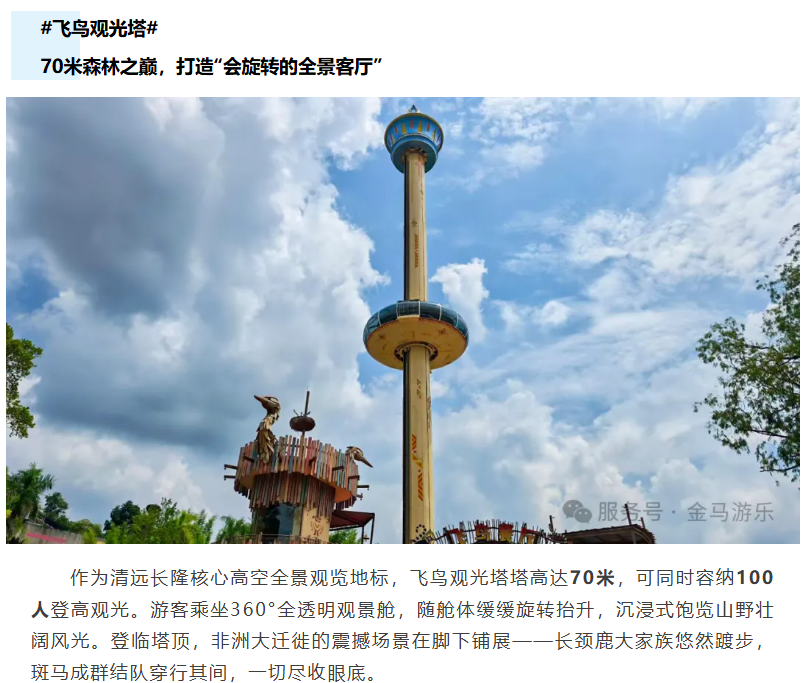 麻将胡了2